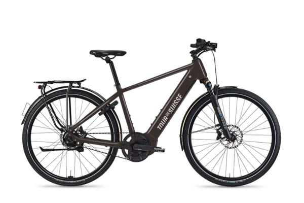 Tour de Suisse BROADWAY 45 km/h Diamant Quarzgrau Glanz