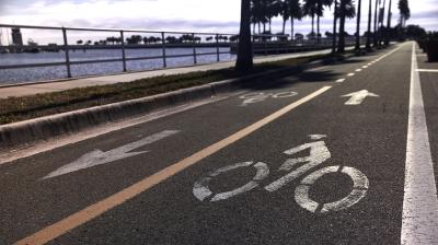 Trek Allant+ 6 Lowstep L Galactic Grey 800 Produktbild 2